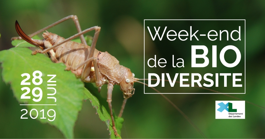 Week_end_biodiversite_28_29_juin_2019_FB